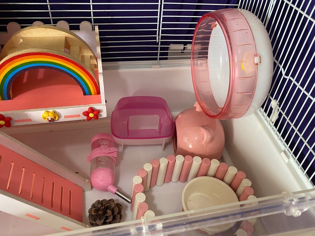 American girl deals hamster cage