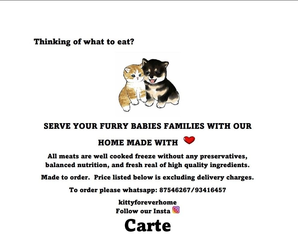 Homemade cat food delivery discount