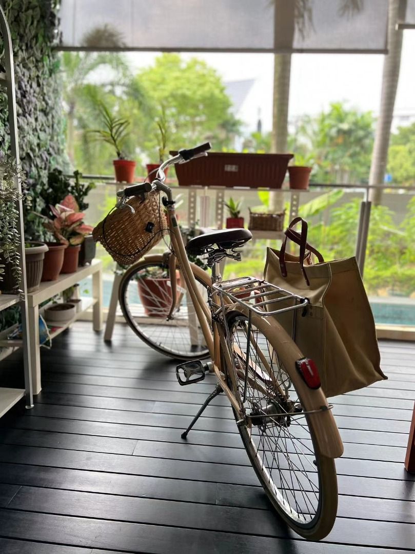Linus city bike Dutchi 3i Ladies Small Sports Equipment Bicycles
