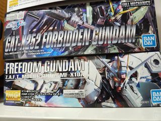 MG Gundam Freedom 2.0 and FM Forbidden Gundam