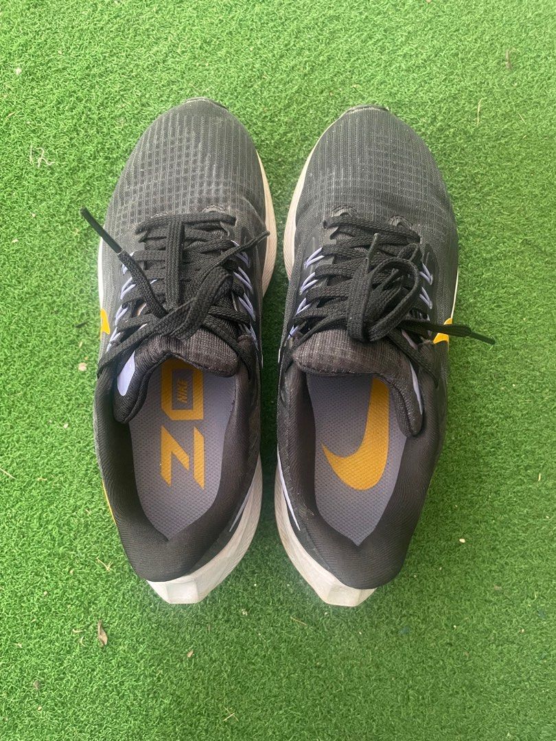 Nike Pegasus 39