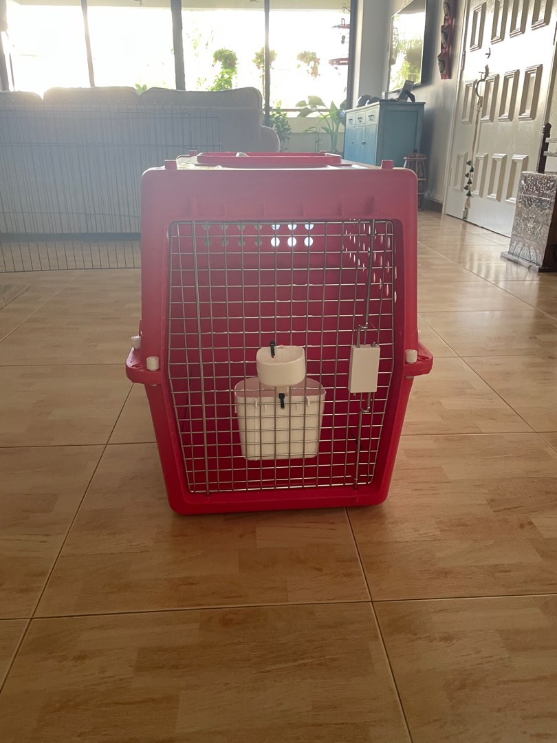 Pet travel crate, Pet Supplies, Homes & Other Pet Accessories on Carousell