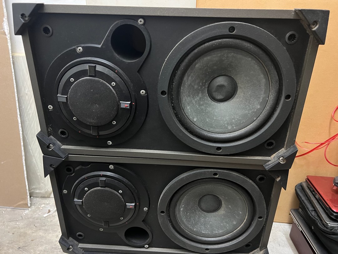 Pioneer clearance karaoke speakers