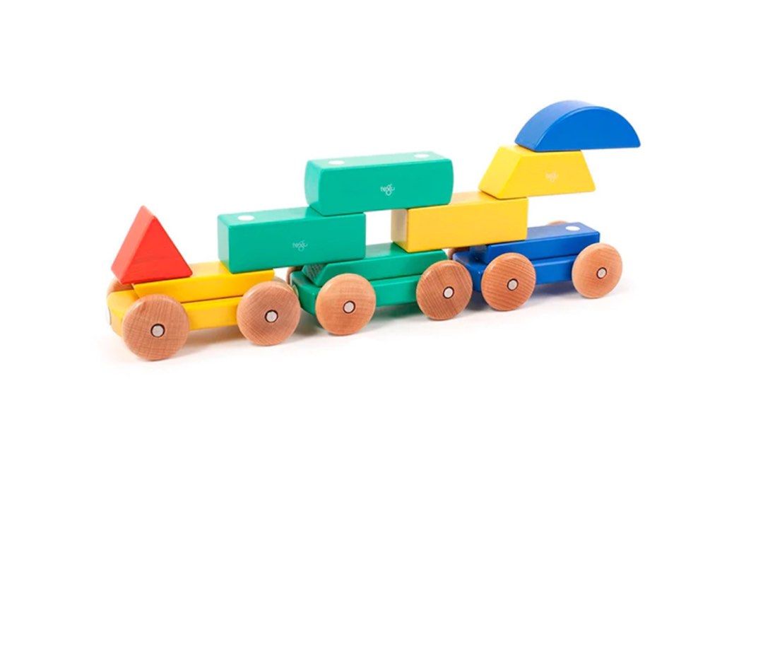 Tegu train top
