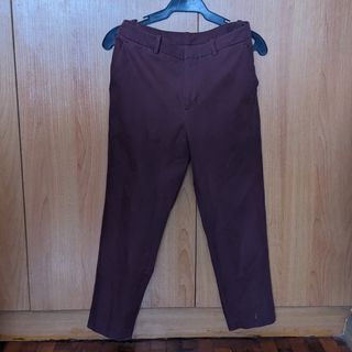 Uniqlo Tapered Pants for Women Small/Medium