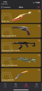 Valorant Account ( Valorant Champions 2023 Skin and Ignite bundle) Full Access, Email and Password Changeable