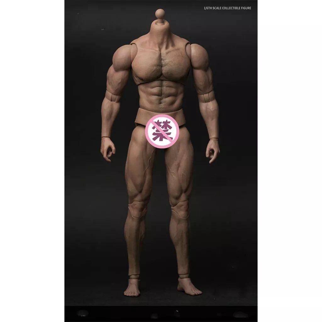 WorldBox Body AT027 1:6 Scale AT012 Muscular Body Male Model Doll