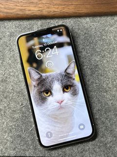 （分類：）位於 。 由 tiny_black_bean 提交（商品編號 1259362952，圖片 1）。簡介： 。