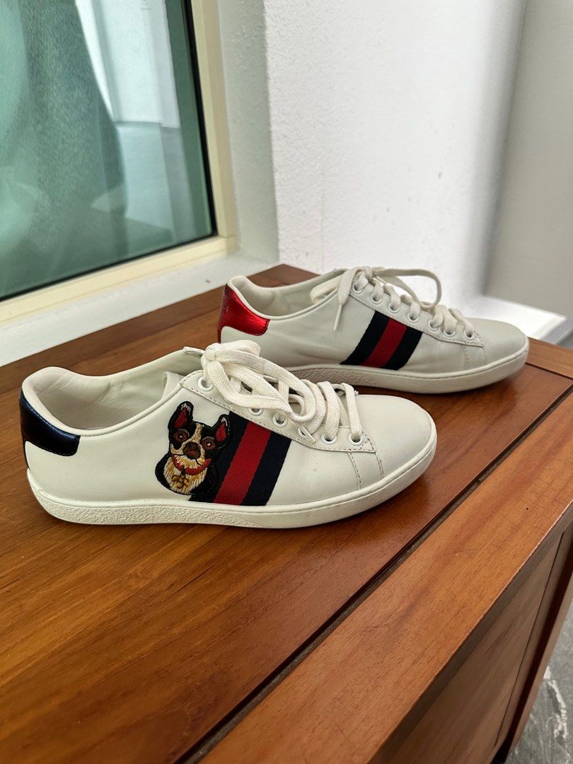 Gucci Dog Sneaker Limited Edition, Luxury, Sneakers & Footwear on Carousell