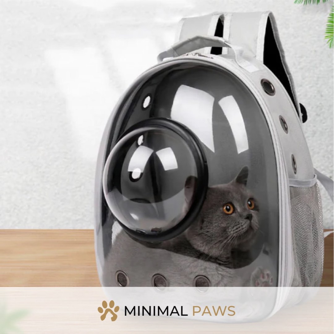 Cat Capsule Backpack Bubble Design Pet Supplies Homes Other