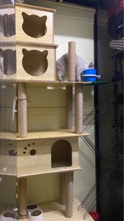 (Category: ) located in . Submitted by eddiedee72 (Listing ID 1259409466, Image 1). Description: .
