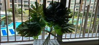 (Category: ) located in . Submitted by fionacm (Listing ID 1259321863, Image 1). Description: .