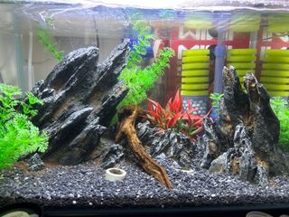 (Category: ) located in . Submitted by p_awesome (Listing ID 1259406988, Image 1). Description: .