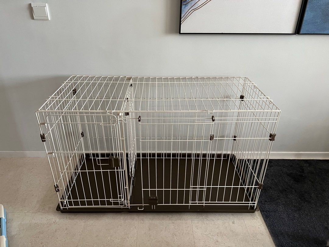 Dog store apartment crate
