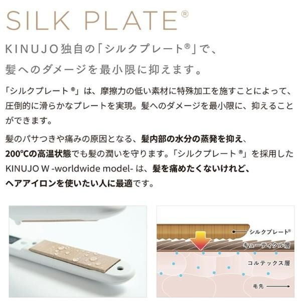 新品 未開封】KINUJO DS100-