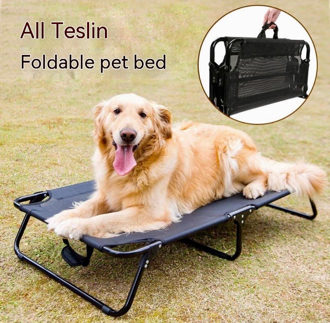Elevated mesh deals dog bed