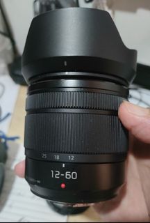 Lumix m43 zoom lens