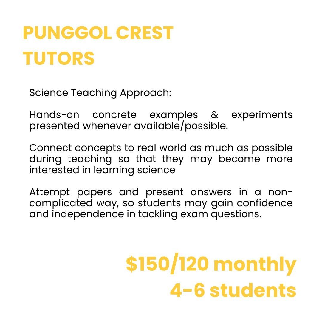 pri punggol group tuition pri 1696951036 8aec50e6 progressive Tea Circle