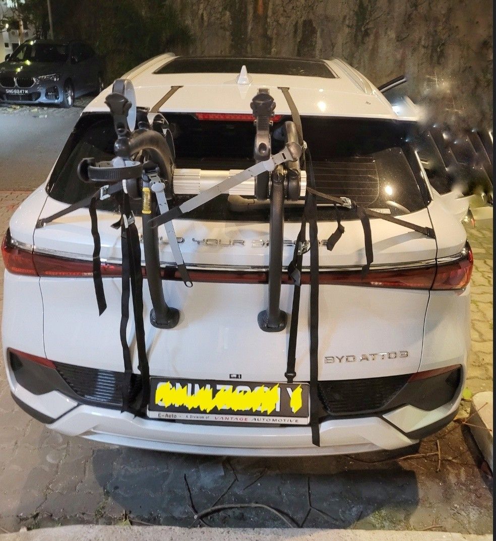 Saris bones top tesla model 3