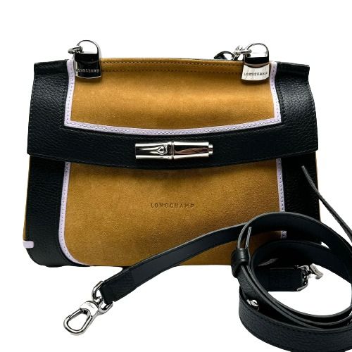 TP Longchamp madeleine Colorblock leather Bag