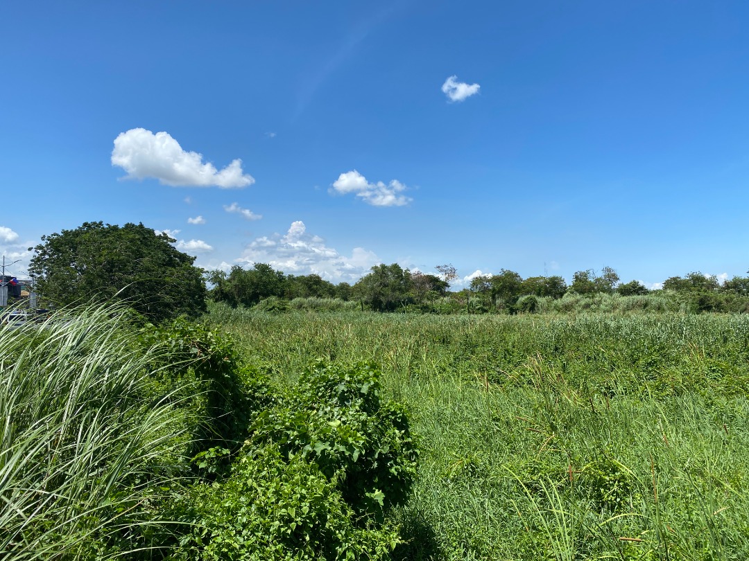 59000 Sqm Industrial Lot for Sale Levi Mariano Ave. Brgy. Ususan, Taguig City, Property, For