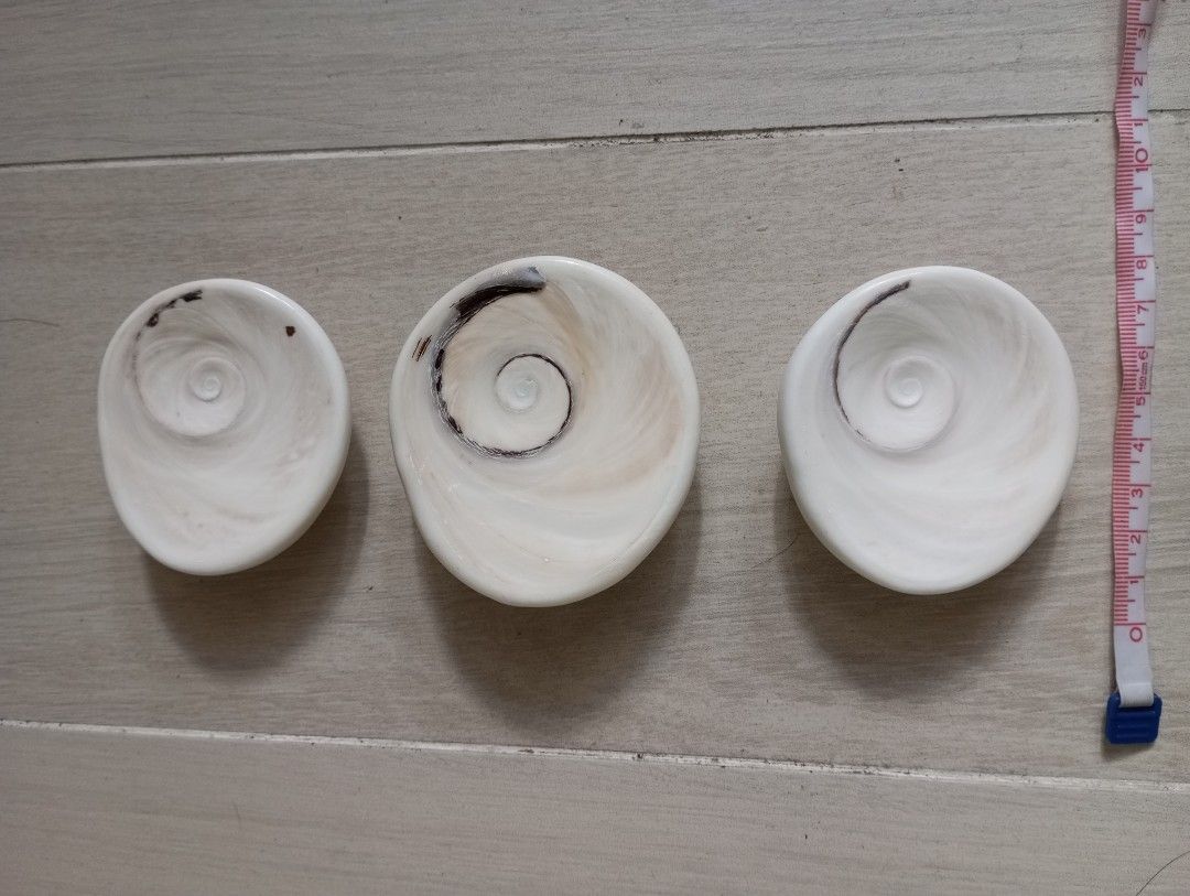 夜光貝口蓋（螺蓋）, 興趣及遊戲, 收藏品及紀念品, 古董收藏- Carousell