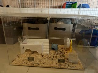 (Category: ) located in . Submitted by tcrystle (Listing ID 1259439922, Image 1). Description: .