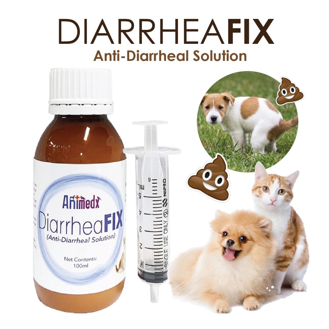 Dog anti diarrhea medication new arrivals