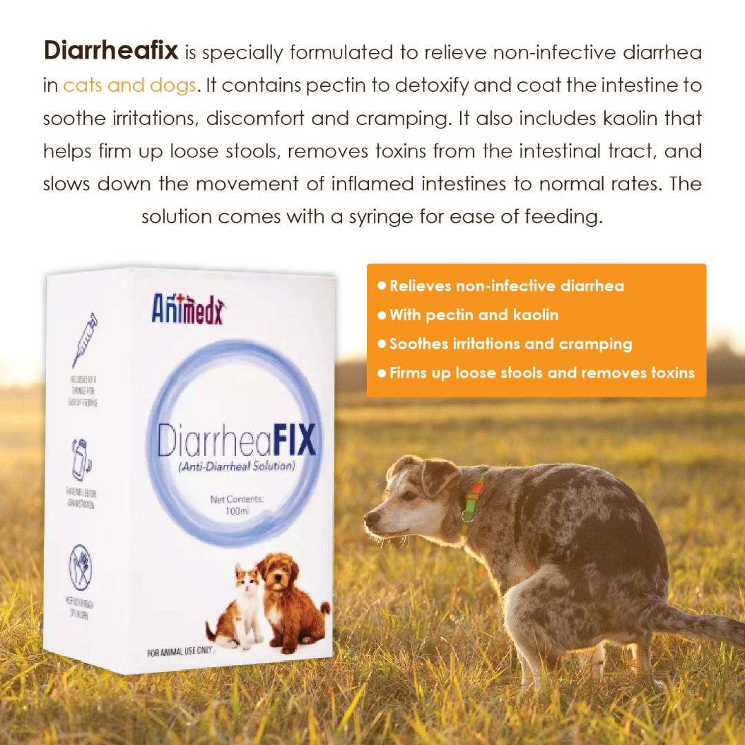 Animedx DiarrheaFix Diarrhea Medication for cat and dog 100ml, Pet Supplies, Homes & Other Pet