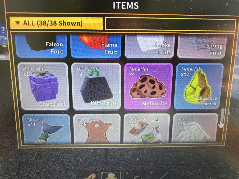 blox fruits trading!, Video Gaming, Video Games, Others on Carousell