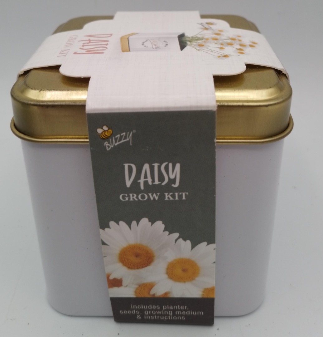 BUZZY Cactus Grow Kit in Tin Can includes Planter Seeds and Growing