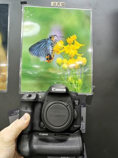 （分類：）位於 。 由 shamwo_114 提交（商品編號 1259477591，圖片 1）。簡介： 。