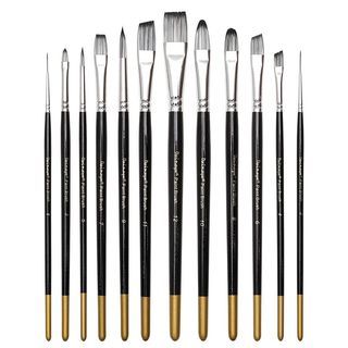 Dainayw 12 Professional  Set Painting Brushes