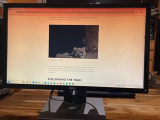 (Category: ) located in . Submitted by corgiblast (Listing ID 1259571909, Image 1). Description: .