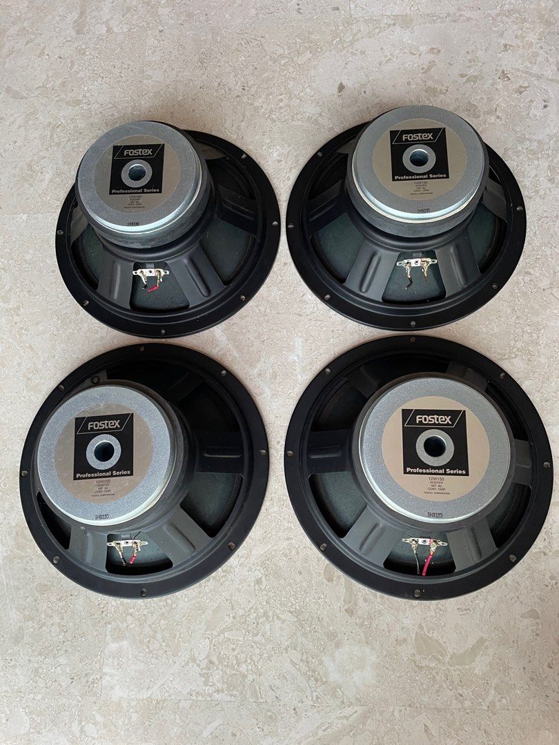 Fostex 12 sales inch