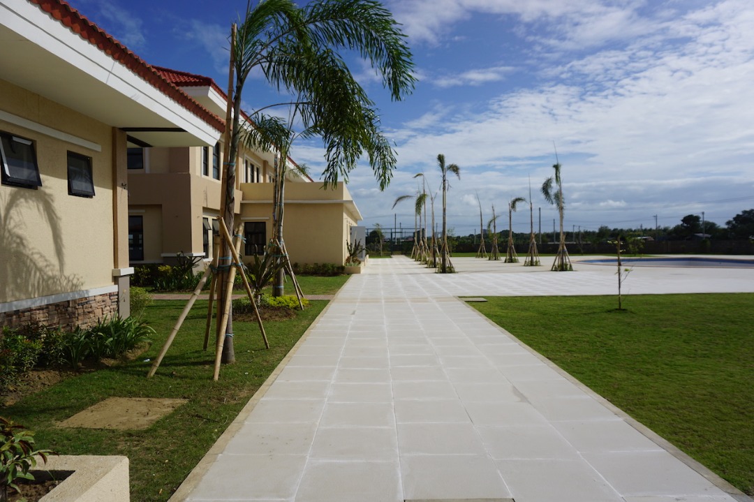 Lot For Sale Green Meadows Iloilo near Centro Verde Iloilo, Property