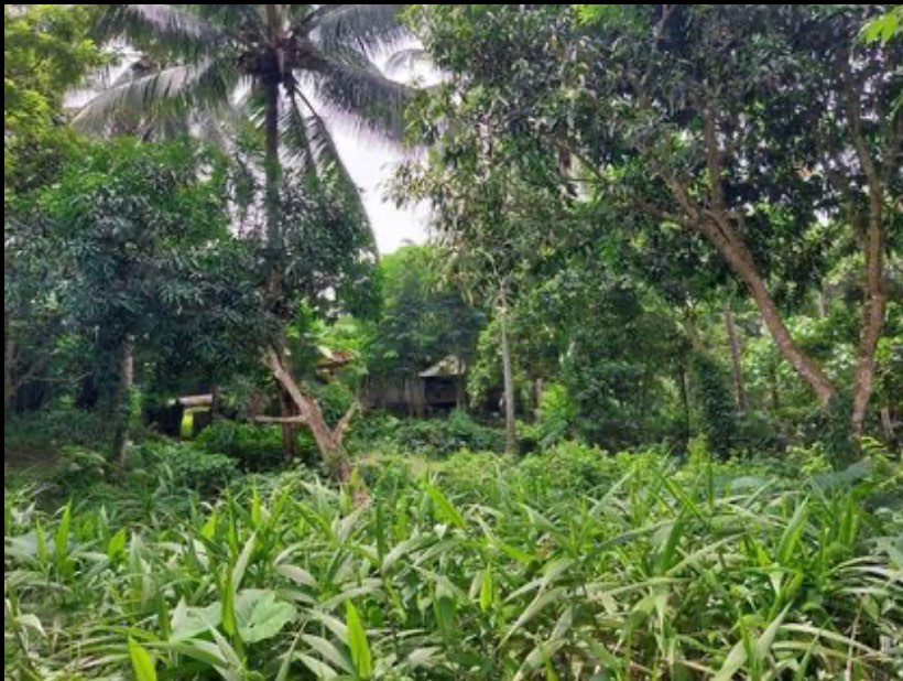 Lot for Sale Lipa City, Batangas, Property, For Sale, Lot on Carousell