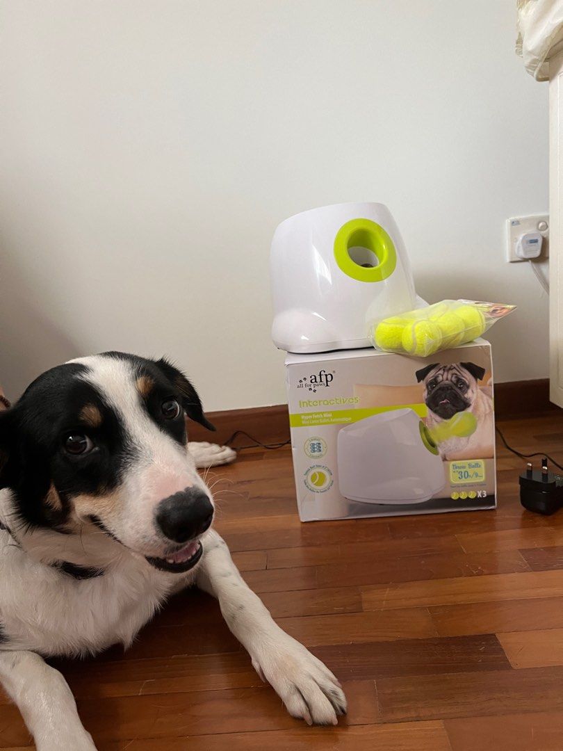 Hyper fetch top dog ball thrower