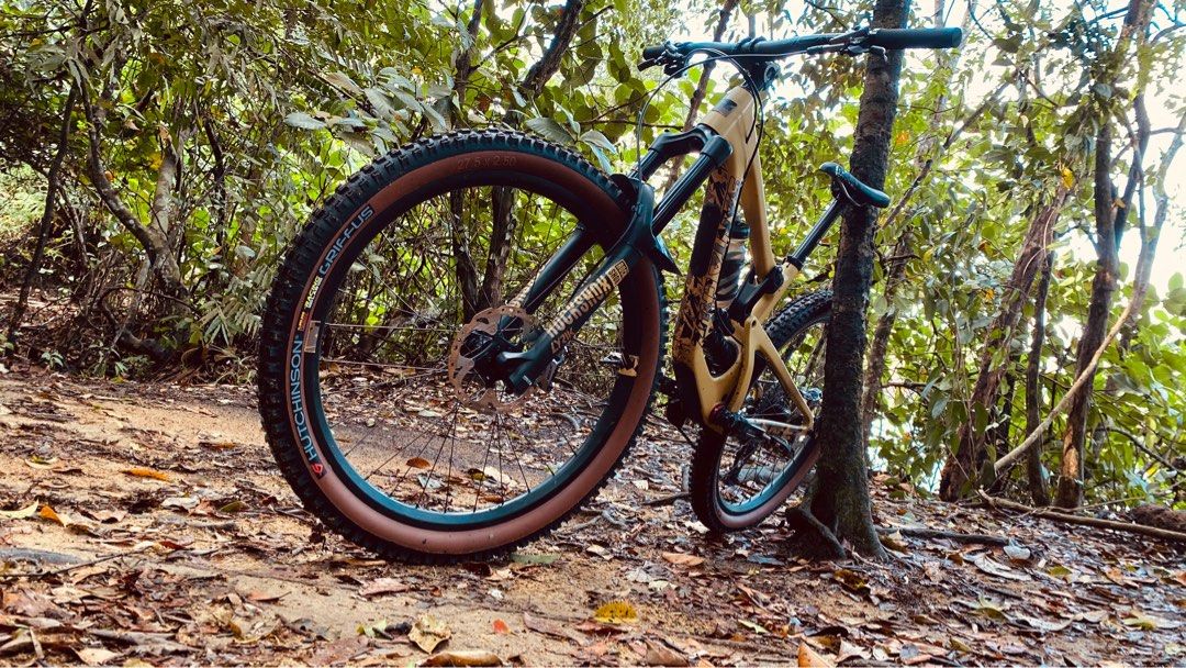 Nomad 29er shop