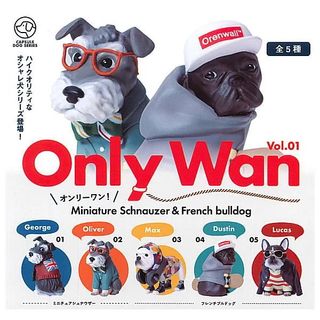 （分類：）位於 。 由 caesarssalad 提交（商品編號 1259542270，圖片 1）。簡介： 。