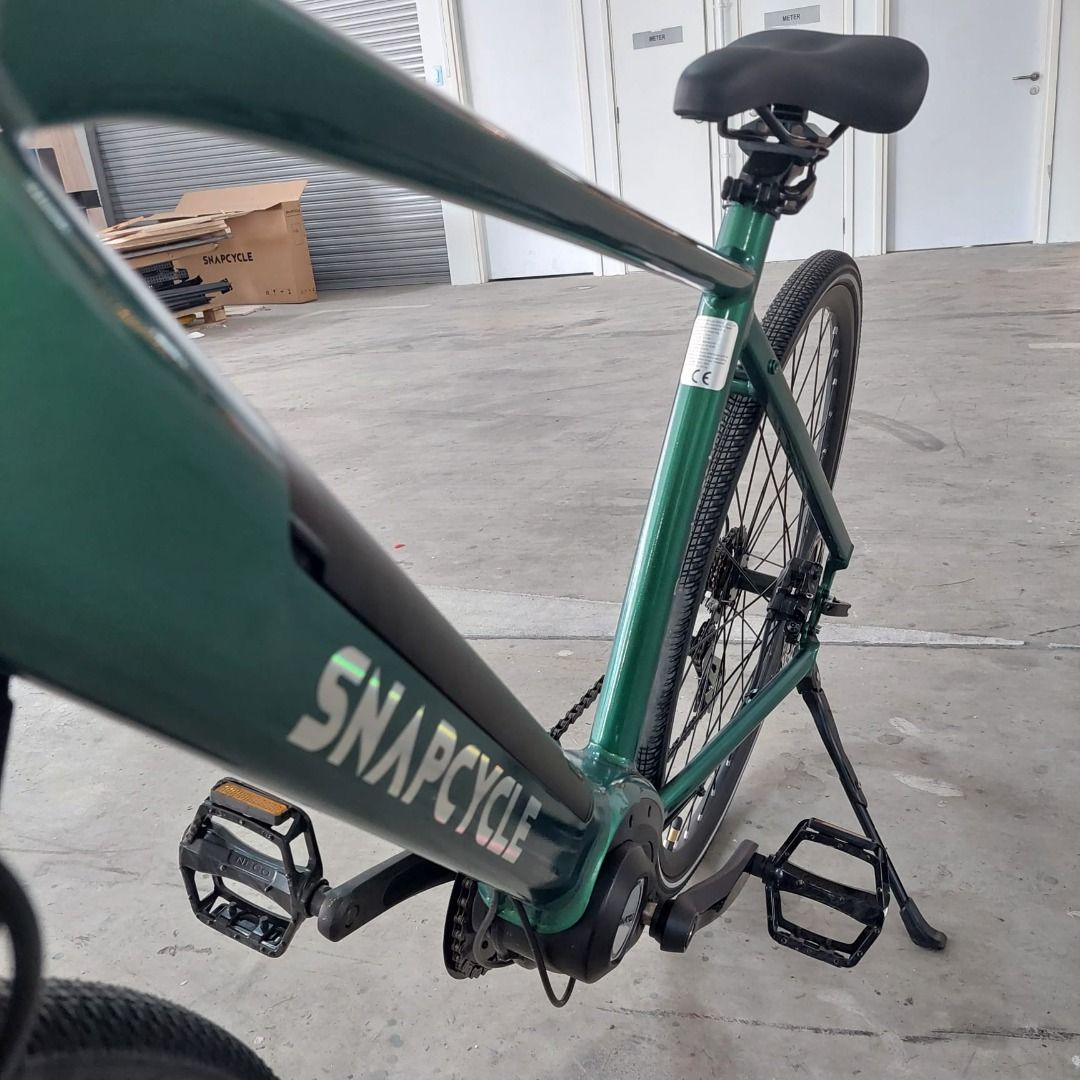 Roadmaster cheap electric bike