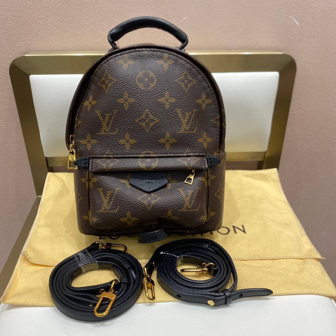 Mini Palm Spring damier brown, Women's Fashion, Bags & Wallets, Backpacks  on Carousell