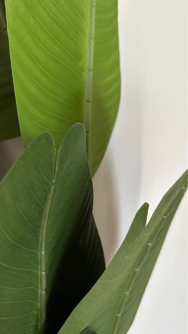 Realistic Artificial Plant 160cm, Furniture & Home Living, Home Decor