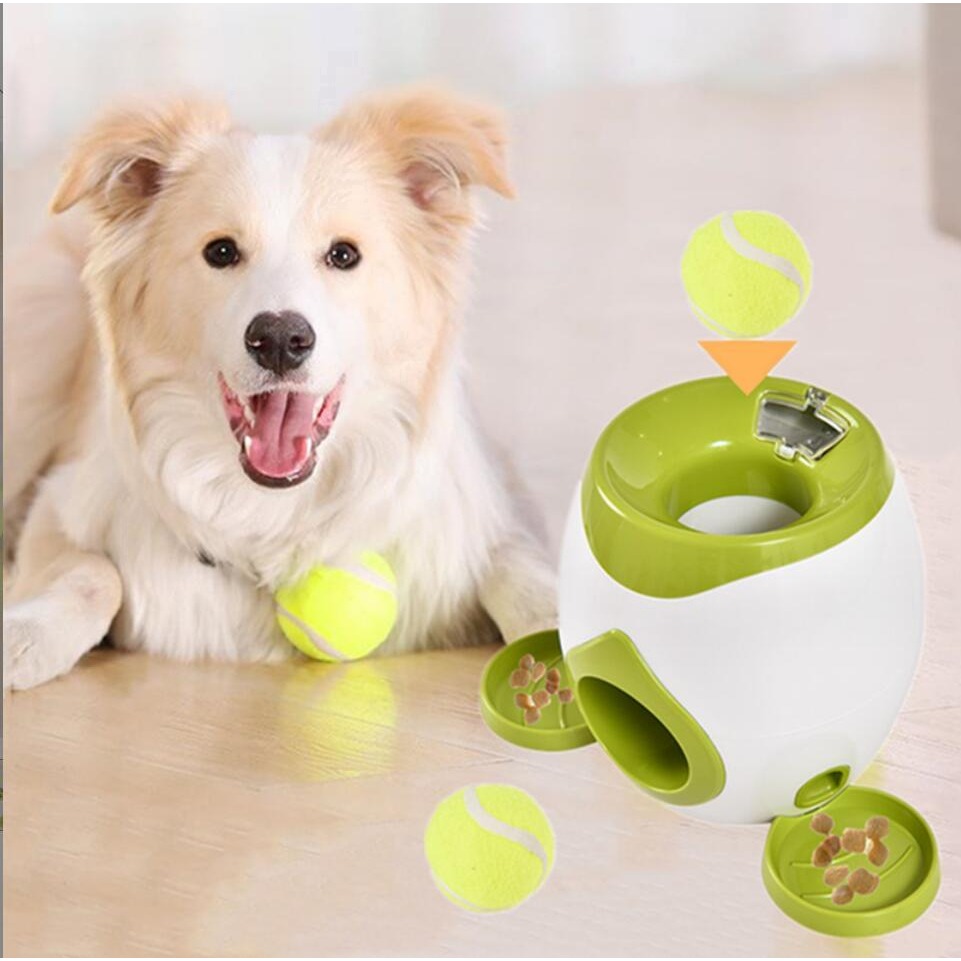 Dog throwing on sale machine