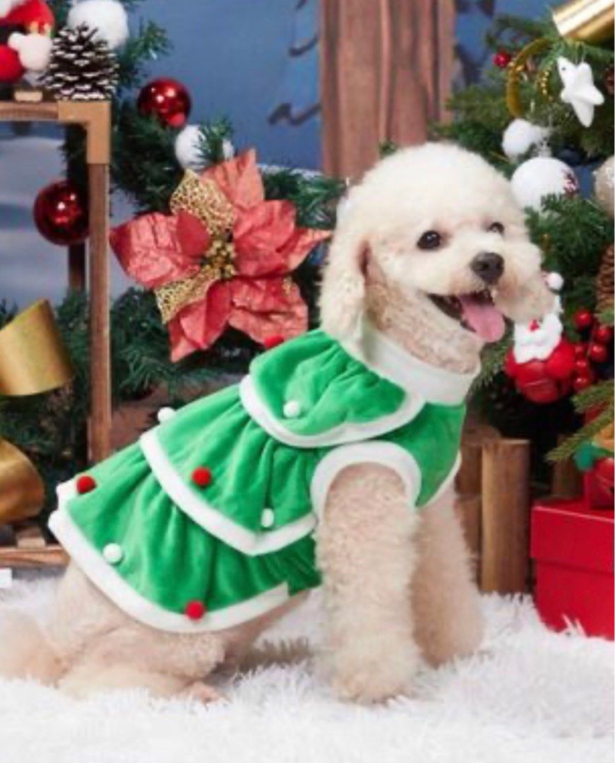 Christmas tree clothes 2025