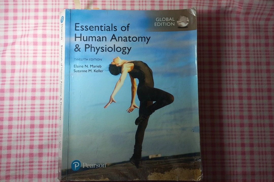 Essentials of Human Anatomy & Physiology (12th Edition), Hobbies & Toys ...