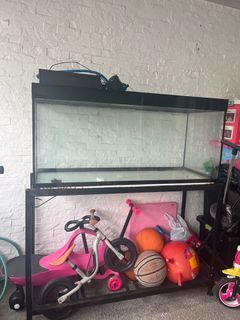 Fish Tank with Stand and Filter
