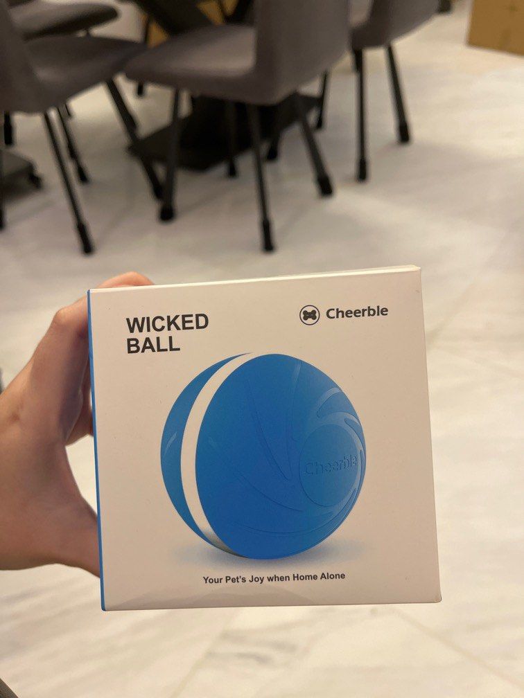 Wicked ball kickstarter discount