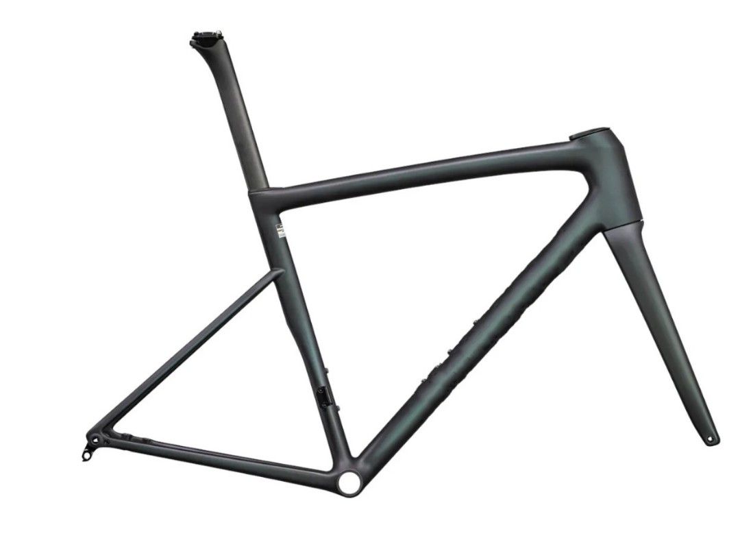 Fact 12r 2025 carbon