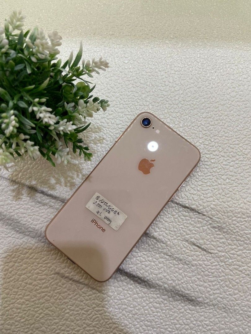 Iphone xl only clearance